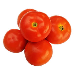 tomate chonto