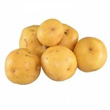 papacriolla